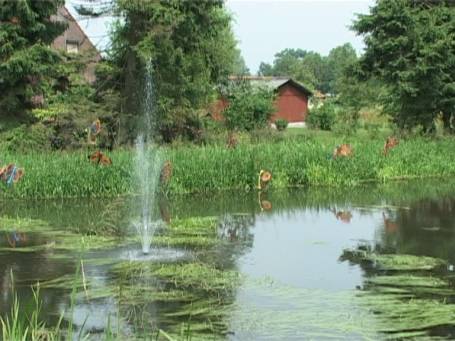 Helenaveen : Kunststücke auf dem Moorkanal